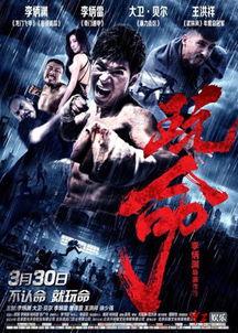 在线观看《玩命》,生死边缘的极限挑战，惊心动魄的生存游戏  第3张